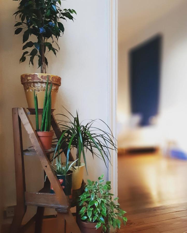 Maison Saint James 몽뗄리마 외부 사진